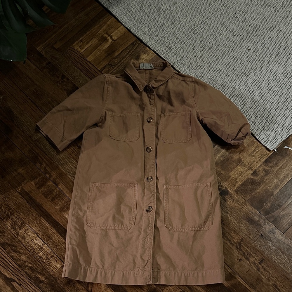 Everlane Brown Shirt Dress